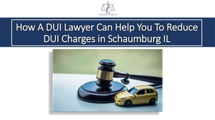 PPT - How A DUI Lawyer Can Help You To Reduce DUI Charges in Schaumburg .<div class=