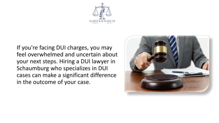 PPT - How A DUI Lawyer Can Help You To Reduce DUI Charges in Schaumburg ...